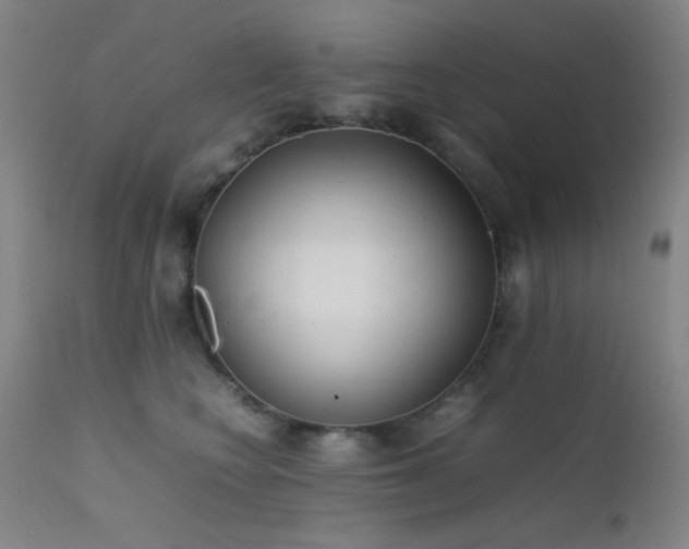X0000111500566200907141315