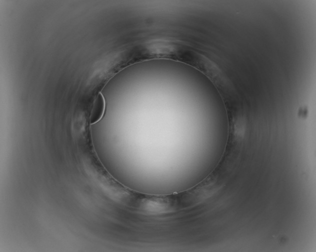 X0000111500567200907141315