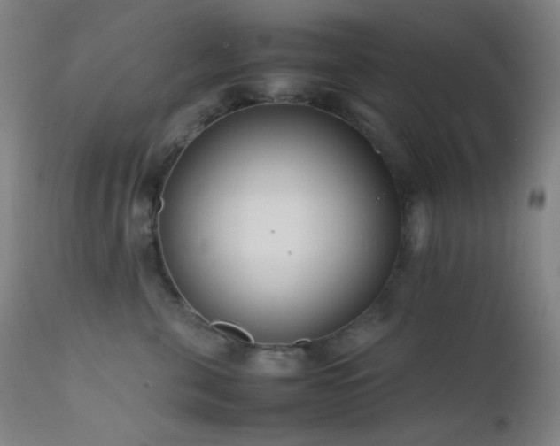 X0000111500571200907141315