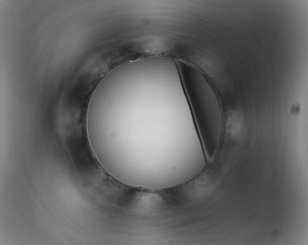 X0000111500572200907141315