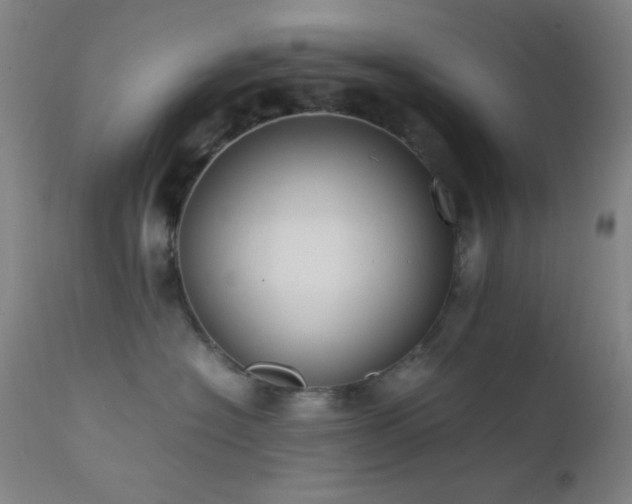 X0000111500574200907141315