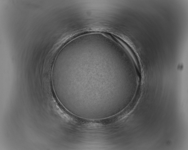 X0000111500577200907141314