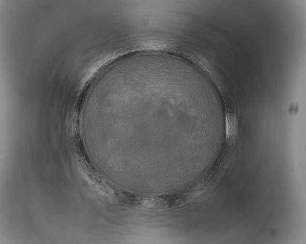 X0000111500579200907141314