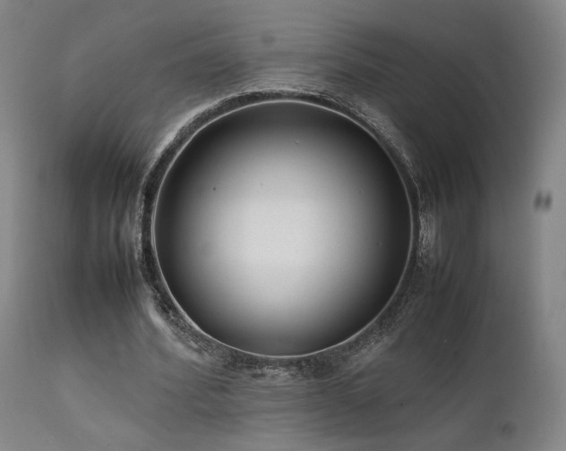 X0000111500580200907141314