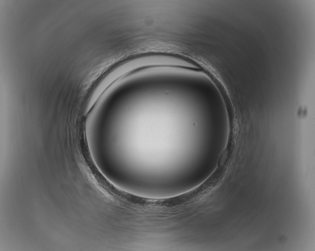 X0000111500581200907141314