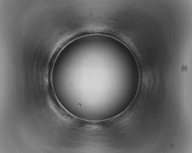 X0000111500582200907141314
