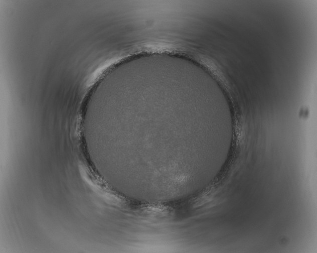 X0000111500583200907141314