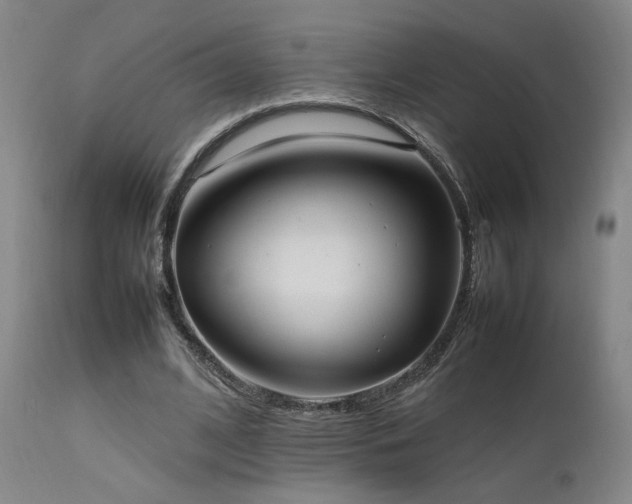 X0000111500584200907141314