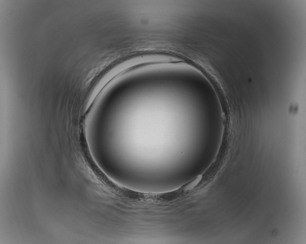 X0000111500585200907141314