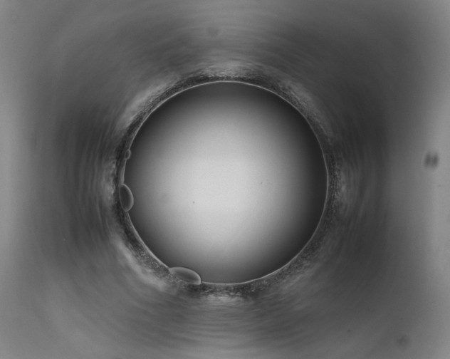 X0000111500586200907141314