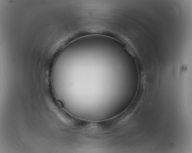 X0000111500589200907141314