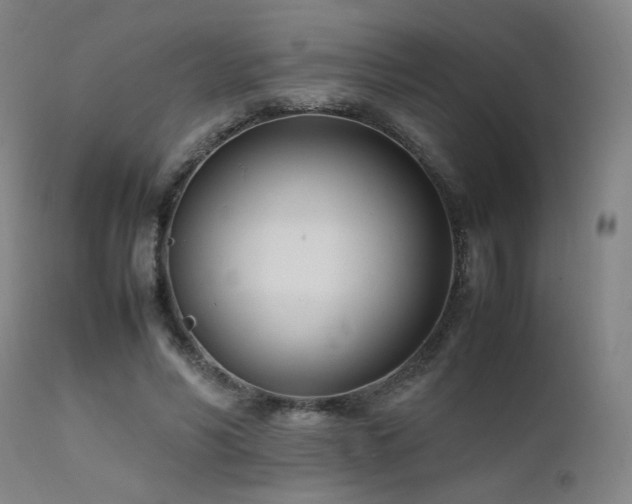 X0000111500590200907141314