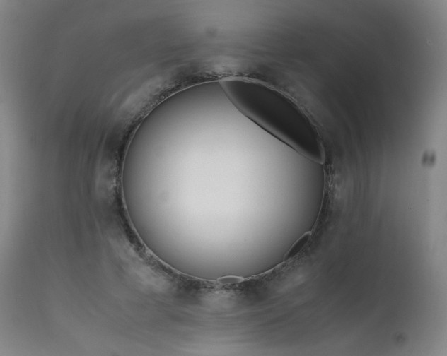 X0000111500593200907141314