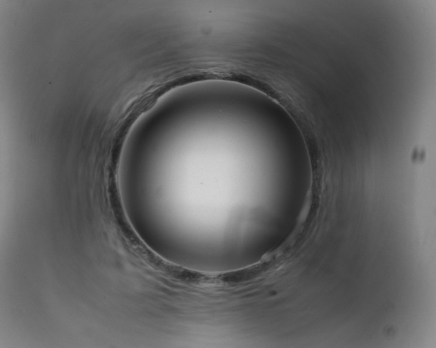 X0000111500595200907141314