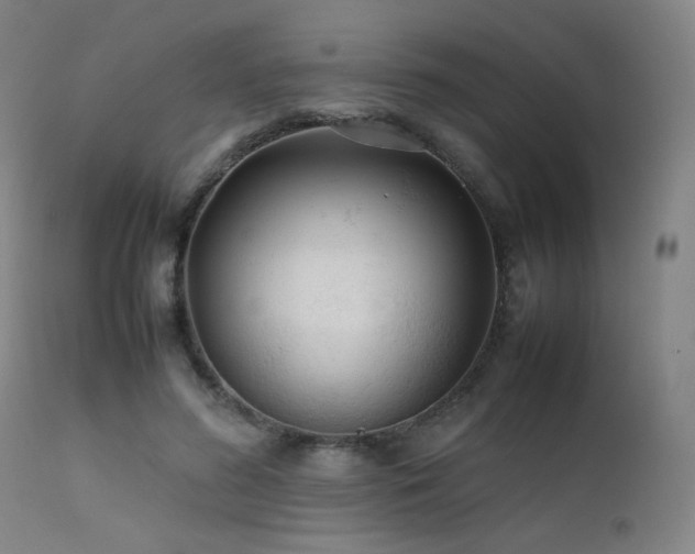 X0000111500596200907141314