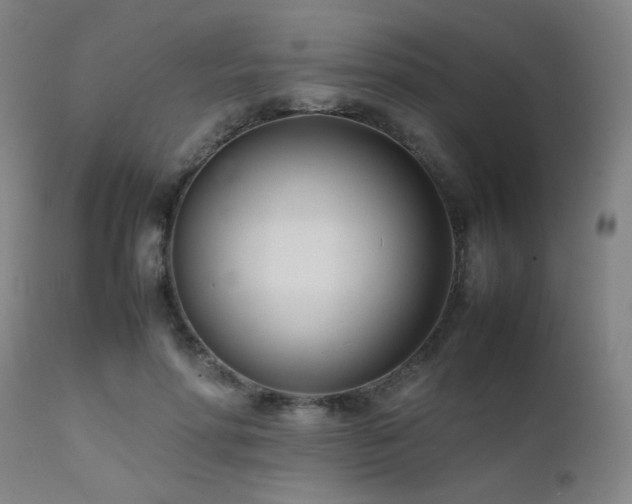 X0000111500598200907141314