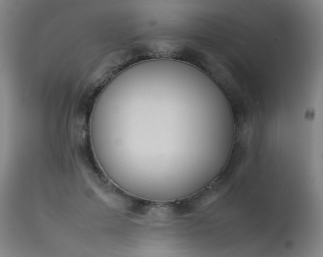 X0000111500599200907141314