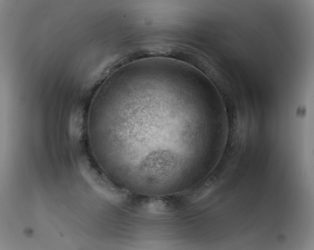 X0000111500600200907141314