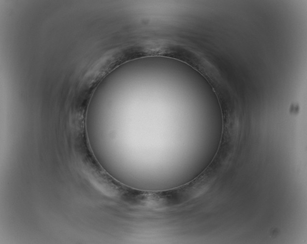 X0000111500601200907141314