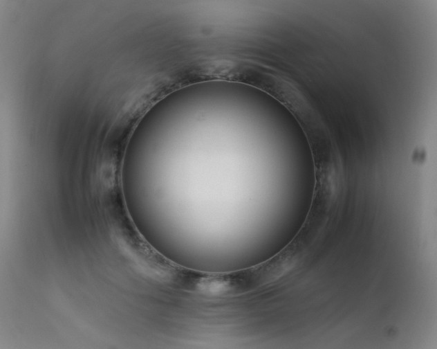 X0000111500602200907141314