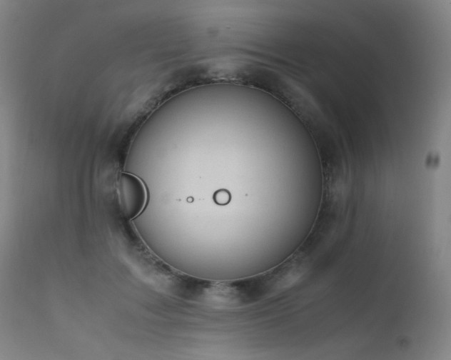 X0000111500603200907141314
