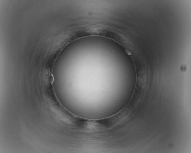 X0000111500605200907141314