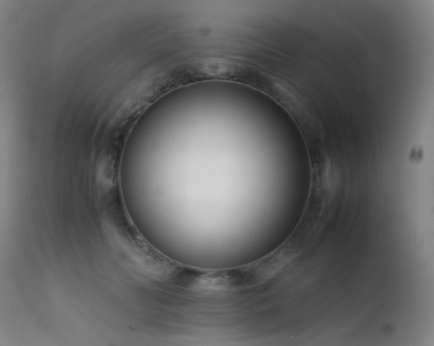X0000111500606200907141314