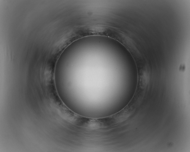 X0000111500608200907141314