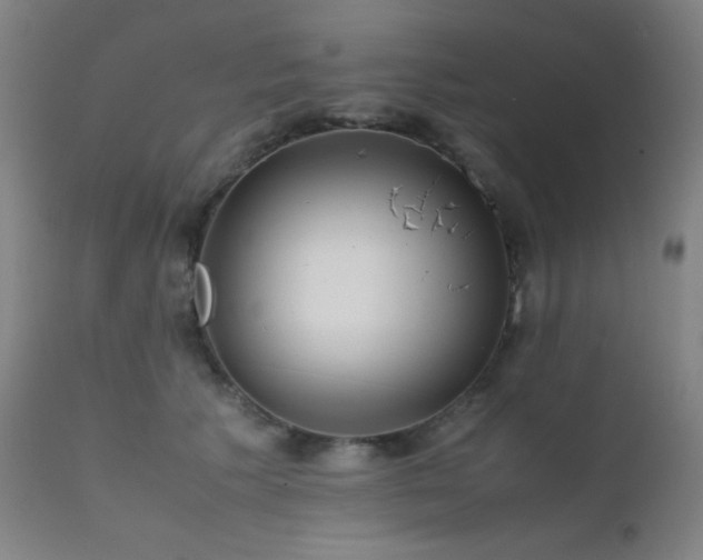 X0000111500609200907141314