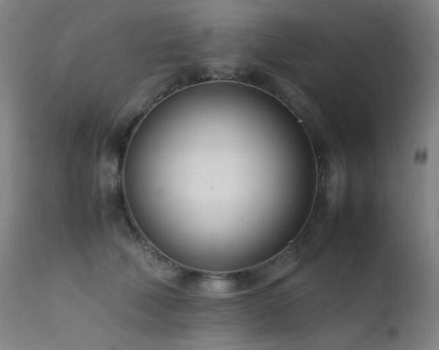 X0000111500610200907141314