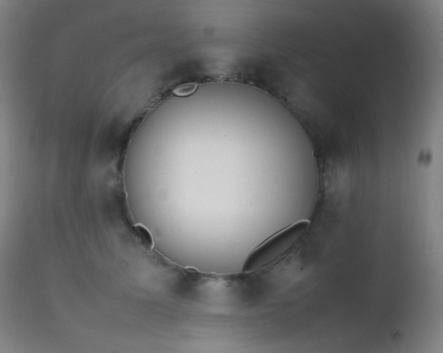 X0000111500611200907141314