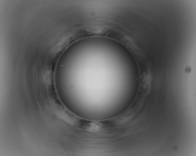 X0000111500612200907141314