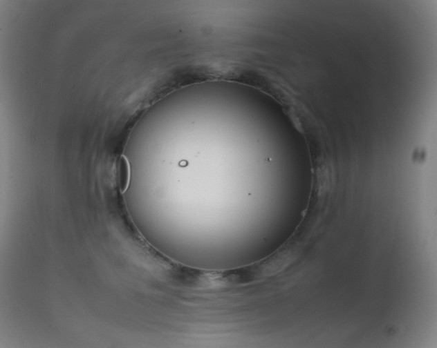X0000111500613200907141314
