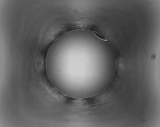 X0000111500615200907141314