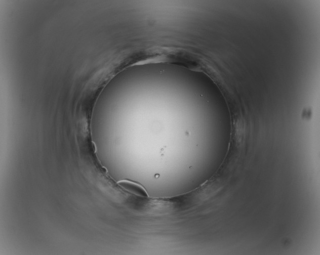 X0000111500617200907141314