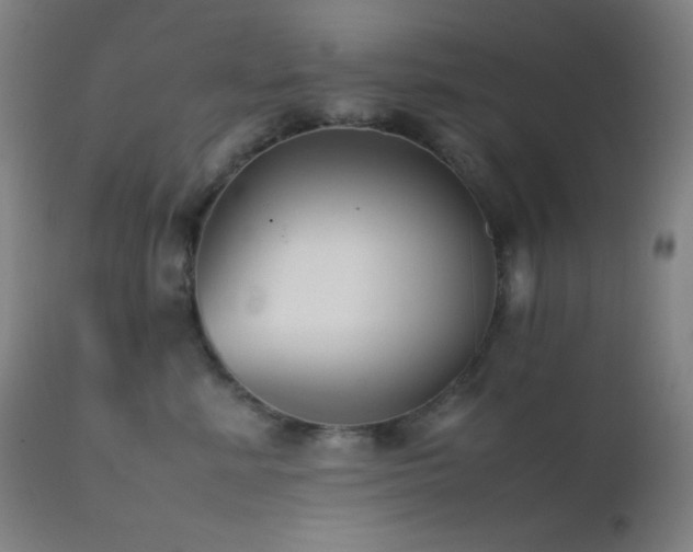 X0000111500619200907141314