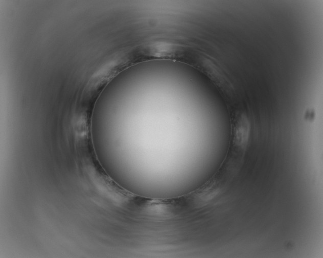 X0000111500620200907141314