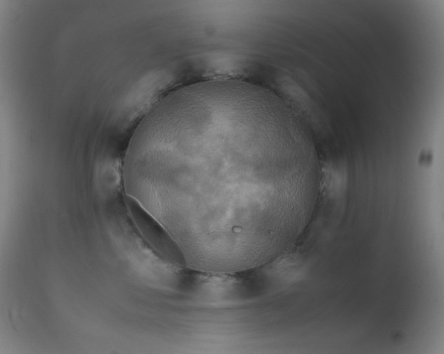 X0000111500621200907141314