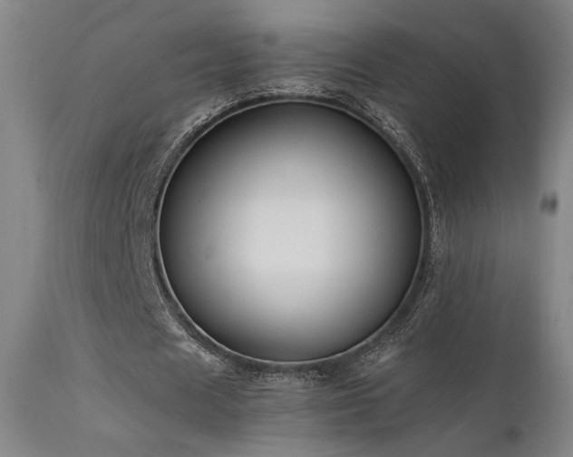 X0000111500625200907141313