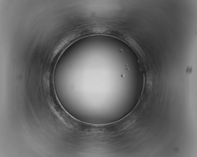 X0000111500626200907141313