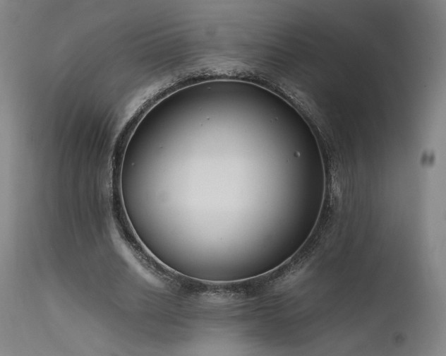 X0000111500630200907141313