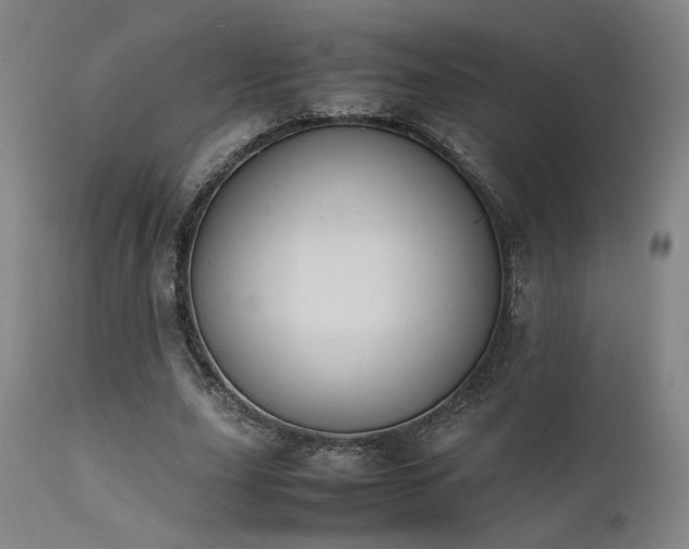 X0000111500631200907141313