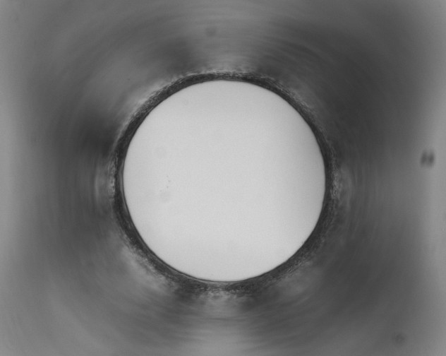 X0000111500632200907141313