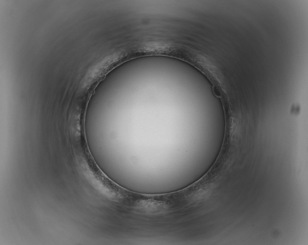 X0000111500633200907141313
