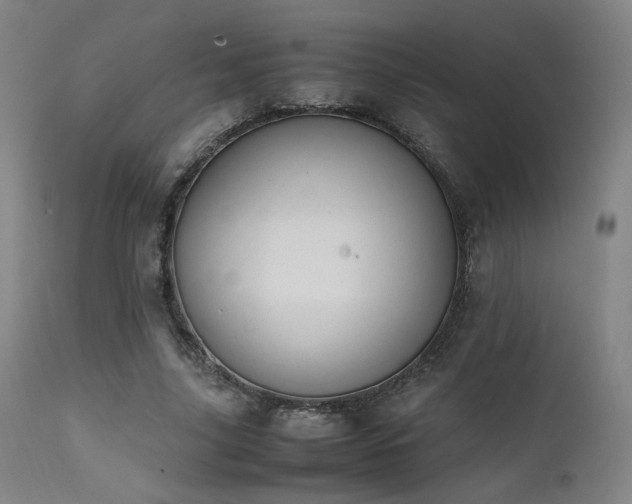 X0000111500635200907141313