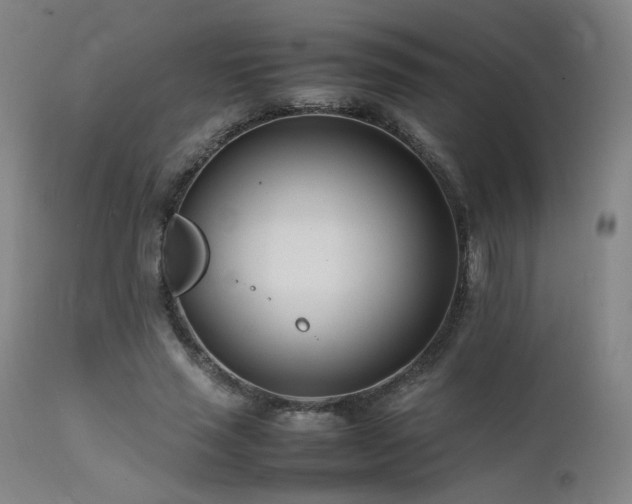 X0000111500637200907141313