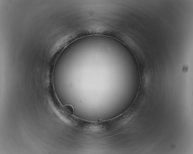 X0000111500638200907141313