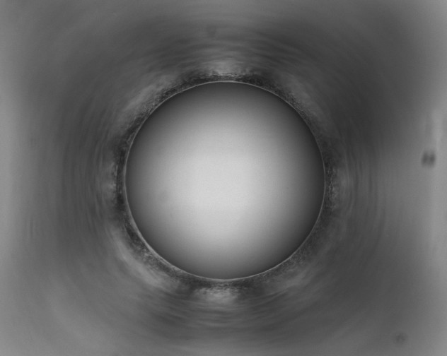 X0000111500639200907141313
