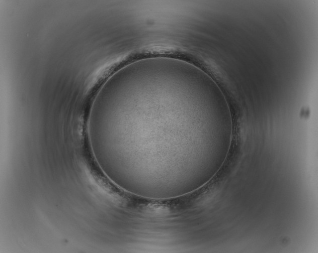 X0000111500640200907141313