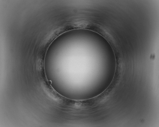 X0000111500641200907141313